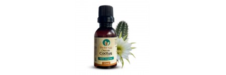 Óleo de Cactus - Extrato oleoso 100% natural uso capilar e corporal